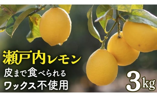 せとうちレモン 約3kg 12〜1月発送 瀬戸内 国産 レモン 瀬戸内レモン 檸檬 柑橘 防腐剤 ワックス 不使用 皮まで丸ごと食べられる 広島県 大崎上島町 離島 産地直送 岩ア農園広島県大崎上島町1