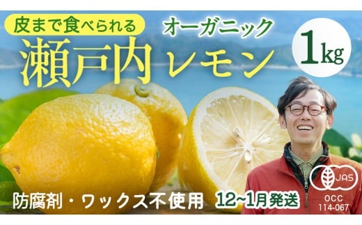瀬戸内 オーガニック レモン 1kg (8〜12個程度) 先行予約 12〜1月発送 有機JAS ワックス不使用 防腐剤不使用 国産 広島 広島レモン 瀬戸内レモン 有機レモン ノーワックス 柑橘 健康 生搾り レモ