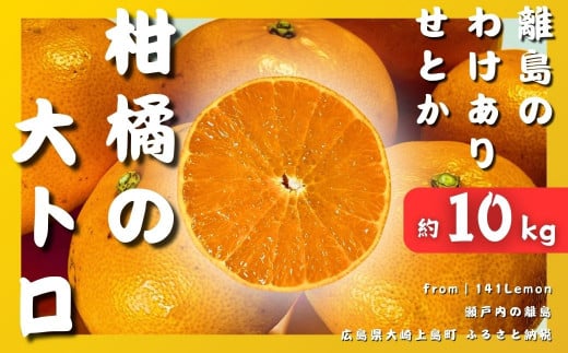 [\] 3 ˓킯肹Ƃ10kg x14x Y Ƃ L 㓇 k 󂠂 ʕ t[c Yn 141LemonL㓇40000ʕEt[c݂Ek
