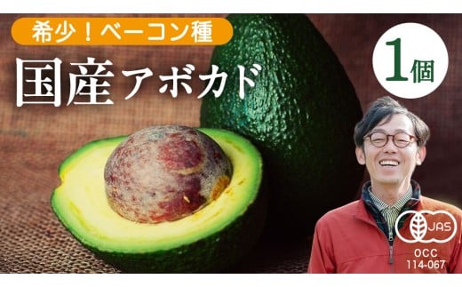 国産 オーガニック アボカド ( ベーコン種 ) 1個 有機JAS認証 有機栽培 アボガド 瀬戸内 有機 濃厚 希少 広島 大崎上島広島県大崎上島町14000野菜・きのこその他 野菜