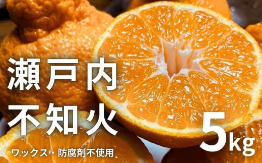 [\] 2`4 ˓̕sm 5kg(12`18x) Y ˓ Ƃ L 㓇  Z Â k ʂ fR| bNXsgp hܕsgpL㓇20000ʕEt