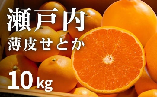 [\] 2 Z! ʏ`Ղ蔖nEXƂ 10kg(35x)@L 㓇 ˓ k ʕ t[c  MtgL㓇40000ʕEt[c݂Ek