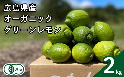 グリーンレモン 約2kg 有機JAS認証取得 フルーツ 果実 広島県産有機 オーガニックレモン 10~11月発送予定 国産 瀬戸内レモン 大崎上島  産地直送 ふじやファーム広島県大崎上島町10000果物・フ