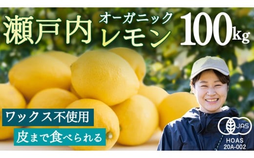 I[KjbN ˓ 100kg [12`6o]  EG k LY w엿  h bNX sgp L@ L@JAS L@͔| Y ʕ  t[c ˓ 㓇 