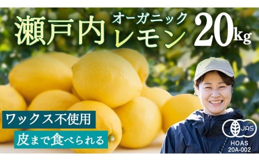 I[KjbN ˓ 20kg [12`6o]  EG k LY w엿  h bNX sgp L@ L@JAS L@͔| Y ʕ  t[c ˓ 㓇 
