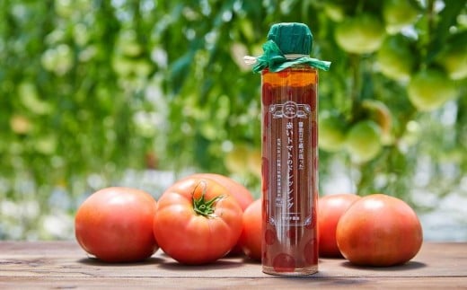 }`ݖ@3MtgZbgΐ쌧14000Eݖ