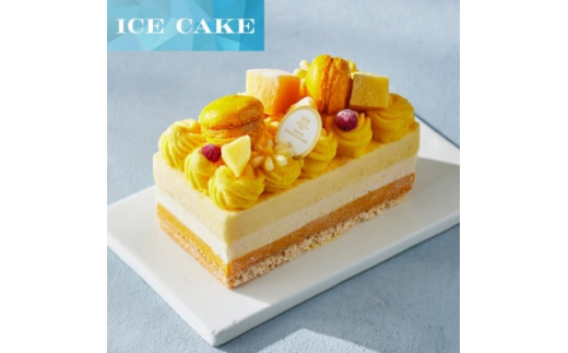 アンリ・シャルパンティエ監修アイスケーキ ガトーグラス トロピカル 1台(2~3名様)【1427250】兵庫県尼崎市16000菓子・スイーツアイス・ジェラート