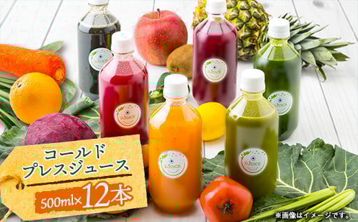 R[hvXW[X2fCNY[WTCY(500ml×12{Zbg)①iy1511549zɌs61000Eʏ`E؈