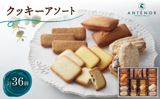 Aem[@NbL[A\[g@36y1553669zɌs17000َqEXC[c̑ mَq
