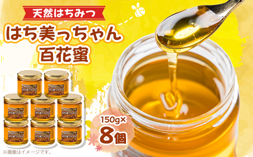天然はちみつ「はち美っちゃん」 百花蜜 150g×8個【1590822】兵庫県尼崎市20000鍋セット・総菜・加工食品ジャム・はちみつ