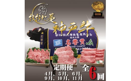 <発送月固定定期便>A5 おおた蔓 神戸牛(神戸ビーフ) それは選ばれし希少な一頭全6回【4067240】兵庫県尼崎市501000肉牛肉