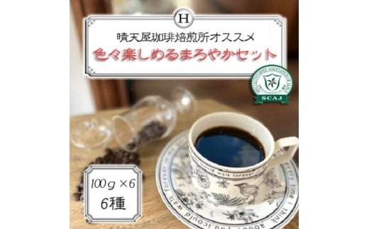 色々楽しめるまろやかセット 100g×6【1672084】兵庫県尼崎市11000お茶・飲料コーヒー・紅茶