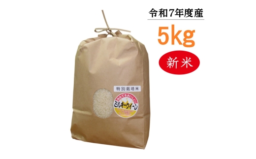 【令和7年度産】東浦町のミルキークイーン 5kg|米  新米 おこめ 精米 直送 鈴木農産 愛知県愛知県東浦町16500米・パン白米