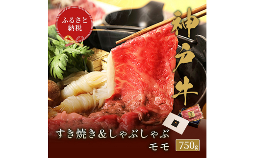 yaZuz _ˋ@Ă & Ԃ Zbg y  z 750g@₫   _˃r[t _˓ Ɍ ɒOs[5275-0574]ɌɒOs50000