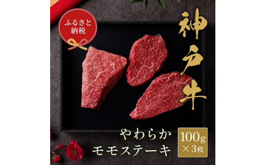 yaZuz _ˋ  Xe[L 300g i100gO× 3 j@炩   _˃r[t _˓ Ɍ ɒOs[5275-0578]ɌɒOs22000