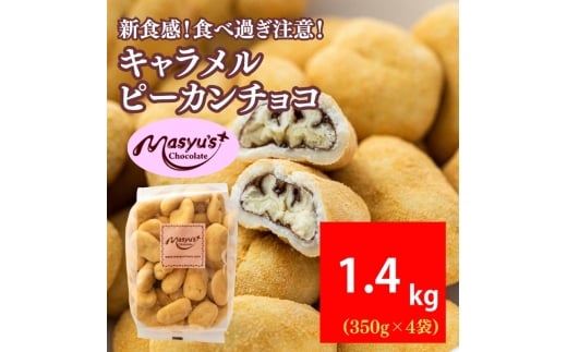 Ls[J`R 1400g 350gx4 11`3 `R[g `R XC[c َq  L s[J ibc Mtg v[g Ɍ ɒOs [5275-1057]ɌɒOs1900