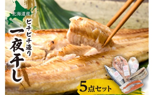 【北海道産】ピチピチ造り一夜干し 5点セット北海道札幌市13000魚介・海産物干物