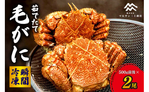 茹でたて毛がに(瞬間冷凍)500g前後×2尾北海道札幌市39000魚介・海産物カニ
