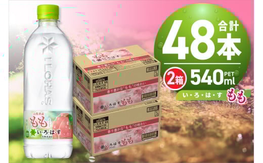 EÉE @540mlPET×48{ ͂ t[o[ hN VR ybg{g 24{×2 v48{  J[T TCNybggp DyskCDys13000EE~