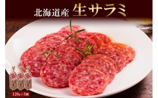 北海道産 生サラミ 120g 3個 セット サラミ 豚肉 豚 ポーク ブロック 乳酸菌 発酵 熟成 おつまみ 国産 冷蔵 パーティー ギフト 札幌バルナバハム バルナバフーズ  北海道 札幌市北海道札幌市130