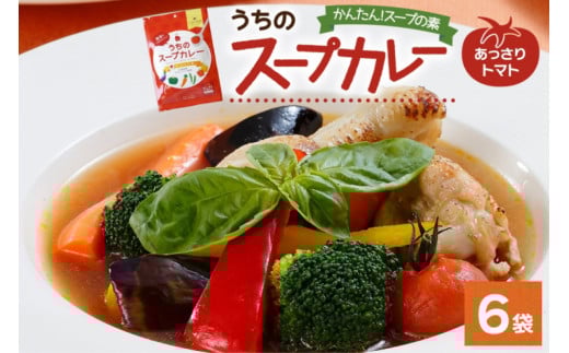 スープカレーの素 うちのスープカレー トマト味 2人前×6袋 小分け スープカレー スパイス トマト スープ カレー 簡単 手軽 料理の素 お取り寄せ ギフト ピーアンドピー  北海道 札幌市北海
