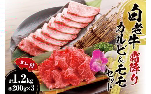 白老牛 霜降り カルビ&モモセット合計1.2kgたれ付北海道札幌市66000肉牛肉