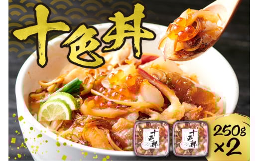海鮮丼 十色丼 250g 2個 計500g 3〜4杯分 ホタテ ズワイガニ いくら いか 数の子 昆布 とびっこ つぶ貝 北寄貝 帆立 ほたて カニ 蟹 かに イクラ イカ こんぶ 海鮮 魚介 おかず おつまみ 味付き 冷