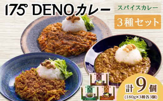 175DENOカレー 3種セット 各3袋 計9袋(無水カレー180g×9)北海道札幌市20000鍋セット・総菜・加工食品総菜