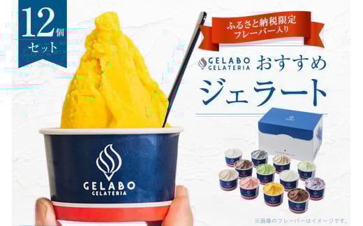《札幌市ふるさと納税 限定 フレーバー入り!》 ジェラート 12個 セット 食べ比べ ショコラ ティラミス マンゴー ブルーベリー つぶあん 生チョコ 北海道産 じゃがいも ミルク 蜂蜜 レモン