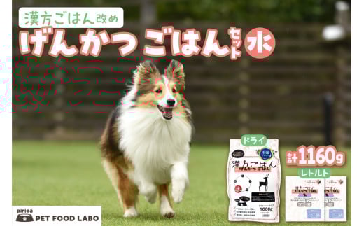 漢方ごはん改めげんかつごはん水(ドライ1000g+レトルト2個)セット北海道札幌市45000鍋セット・総菜・加工食品その他 鍋セット・総菜・加工食品
