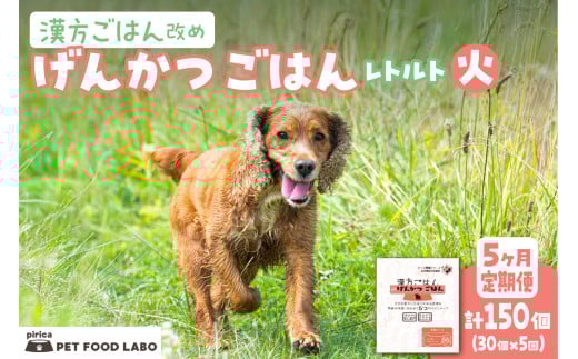 【定期便】漢方ごはん改めげんかつごはんレトルト『火』30個(30個×5回)北海道札幌市347000鍋セット・総菜・加工食品その他 鍋セット・総菜・加工食品