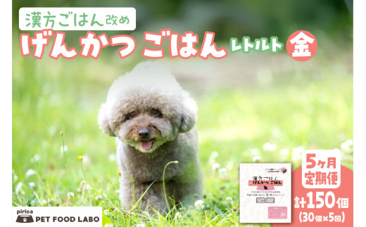 【定期便】漢方ごはん改めげんかつごはんレトルト『金』30個(30個×5回)北海道札幌市347000鍋セット・総菜・加工食品その他 鍋セット・総菜・加工食品