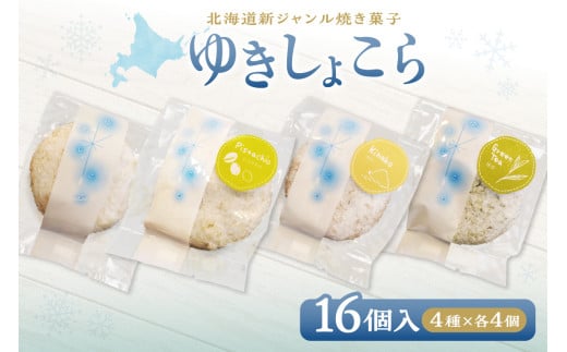 䂫傱iIXXZbgj16kCDys19000َqEXC[c̑ mَq