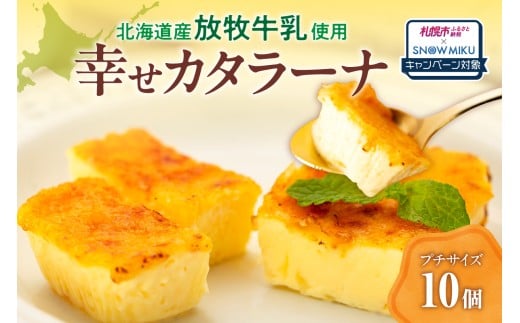 ymxeBtzkCY̕q̔閧IKJ^[ii10jkCDys13000َqEXC[c̑ aَq