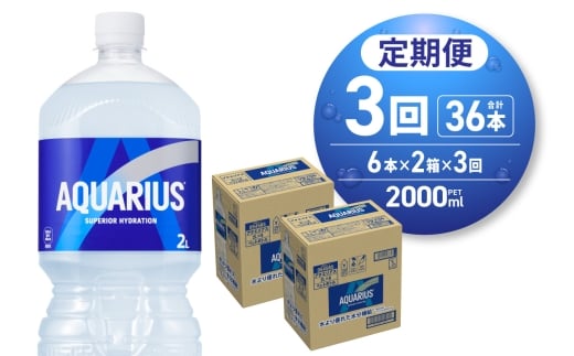 【3ヶ月定期便】アクエリアス 2000mlPET×12本北海道札幌市29100お茶・飲料果汁・野菜飲料