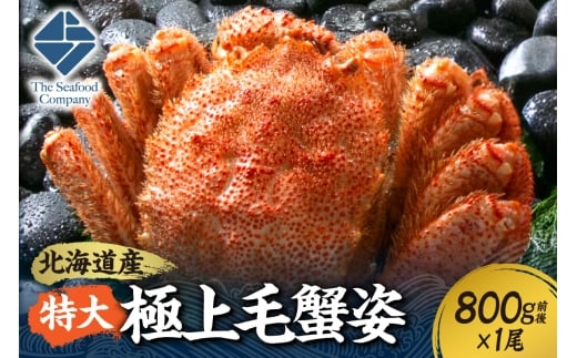 特大極上毛蟹姿 800g前後×1尾北海道札幌市39000魚介・海産物カニ