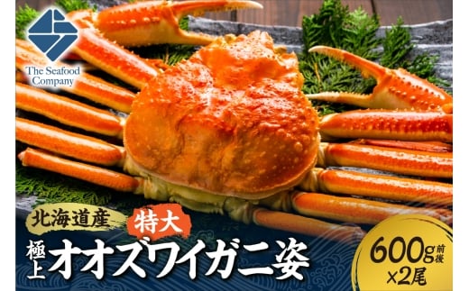 北海道産特大極上オオズワイガニ姿 600g前後×2尾セット北海道札幌市27000魚介・海産物カニ