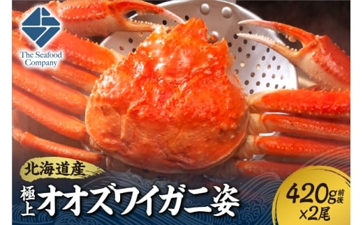 北海道産極上オオズワイガニ姿 420g前後×2尾セット北海道札幌市20000魚介・海産物カニ
