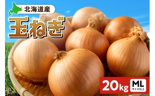 ʂ˂ kCY 20kg MLTCYȏkCDys31000؁Êʂ˂E˂