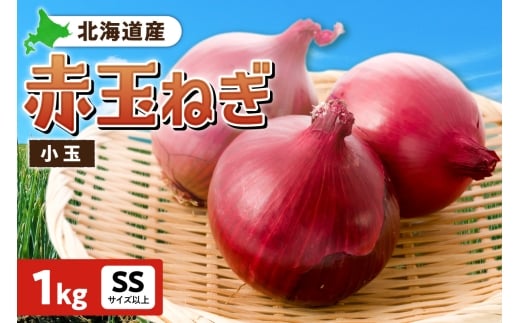 ԋʂ˂ kCY  1kg SSTCYȏkCDys9000؁Êʂ˂E˂