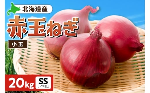 ԋʂ˂ kCY  20kg SSTCYȏkCDys23000؁Êʂ˂E˂