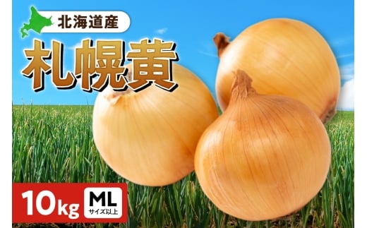 札幌黄 玉ねぎ 北海道産 10kg MLサイズ以上北海道札幌市28000野菜・きのこ玉ねぎ・ねぎ
