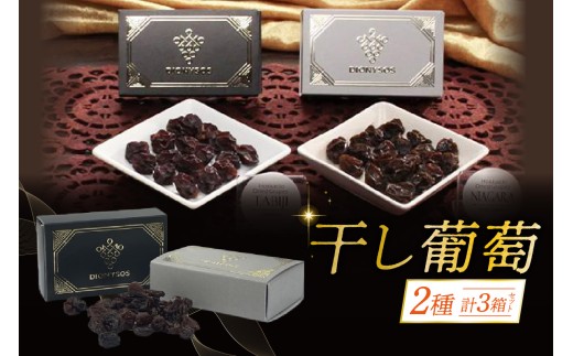 北海道完全無添加干し葡萄 DIONYSOS2種セット 計3箱北海道札幌市19000果物・フルーツマスカット・ぶどう