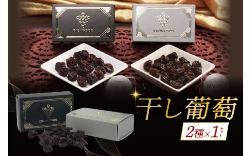 北海道完全無添加干し葡萄 DIONYSOS2種セット×1セット北海道札幌市13000果物・フルーツマスカット・ぶどう