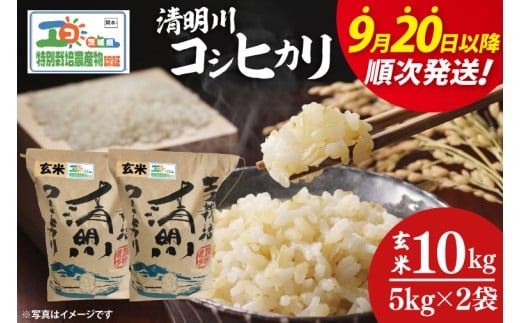 【令和7年9月20日以降順次発送】【先行予約】新米令和7年産 茨城県特別栽培認証 清明川コシヒカリ玄米 5s×2袋【米 おこめ こしひかり  特別栽培米 農家直送 直送 茨城県 阿見町】(04-20-1)