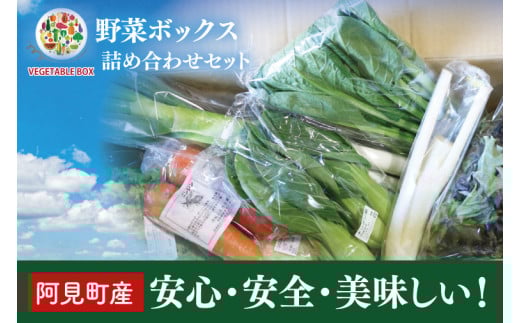 04-05 阿見町産野菜ボックス詰め合わせセット(7〜8品)【新鮮 美味しい EM菌 減農薬 有機肥料 阿見町 茨城県】茨城県阿見町9000野菜・きのこその他 野菜