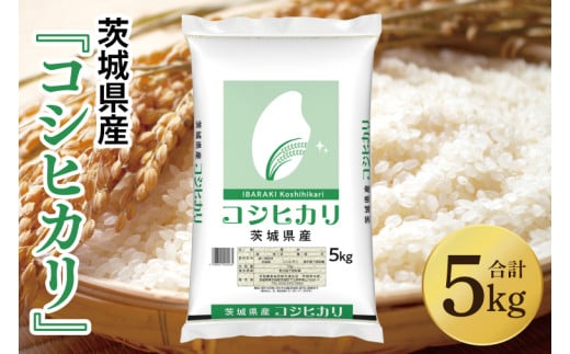 令和7年産 茨城県産 コシヒカリ5kg【お米 米 こしひかり ごはん 茨城県】(03-48-1)茨城県阿見町15000米・パン白米