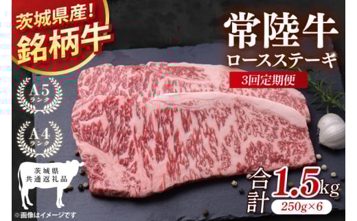 y錧ʕԗizy3ցz헤[XXe[L v1.5kg(250g×6)y  Ⓚ ς 錧 z(81-07)錧72000