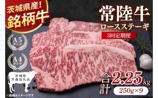 【茨城県共通返礼品】【3回定期便】常陸牛ロースステーキ 計2.25kg(250g×9)【銘柄牛 牛肉 冷凍 たんぱく質 ビタミン 茨城県産】(81-10)茨城県阿見町108000肉牛肉