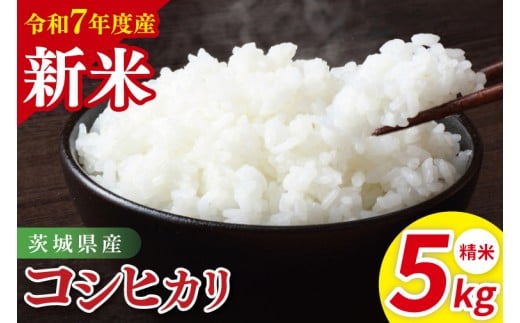 令和7年産 茨城県産コシヒカリ 精米 5kg | 茨城県産 茨城県産米(85-83)茨城県阿見町14000米・パン白米